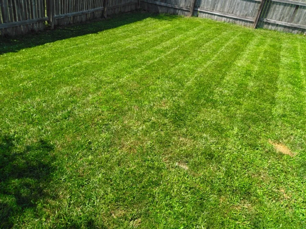 Reliable garden landscaping for outdoor upgrades in Indianapolis, IN by Lawn's Pro