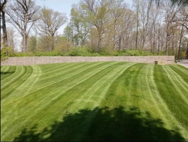 Reliable yard cleanup service for homes in Indianapolis, IN by Lawn's Pro