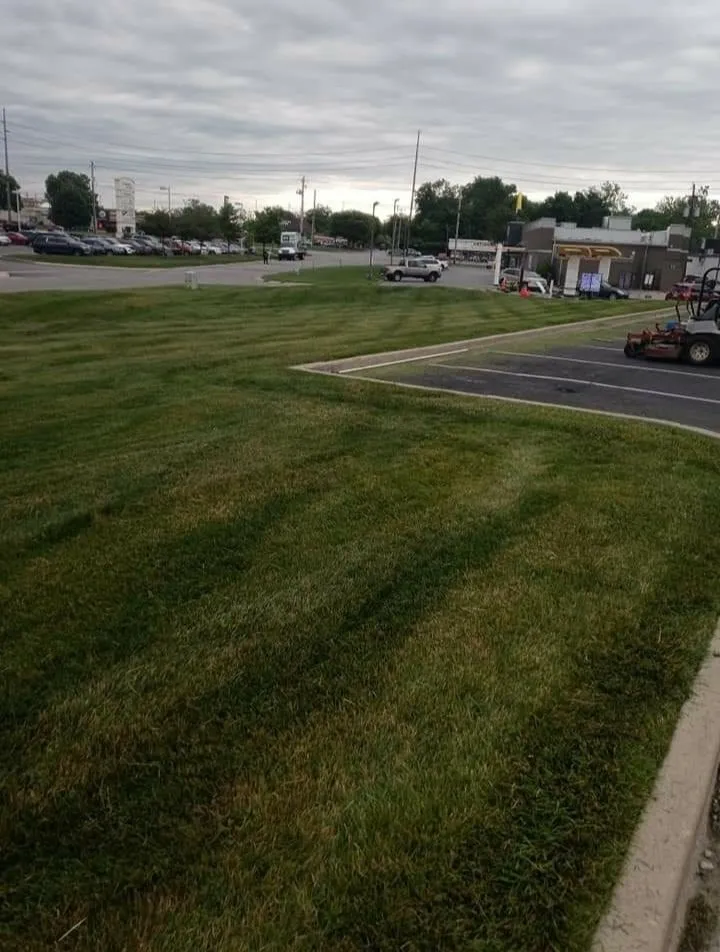 Local garden landscaping for homes in Indianapolis, IN by Lawn's Pro