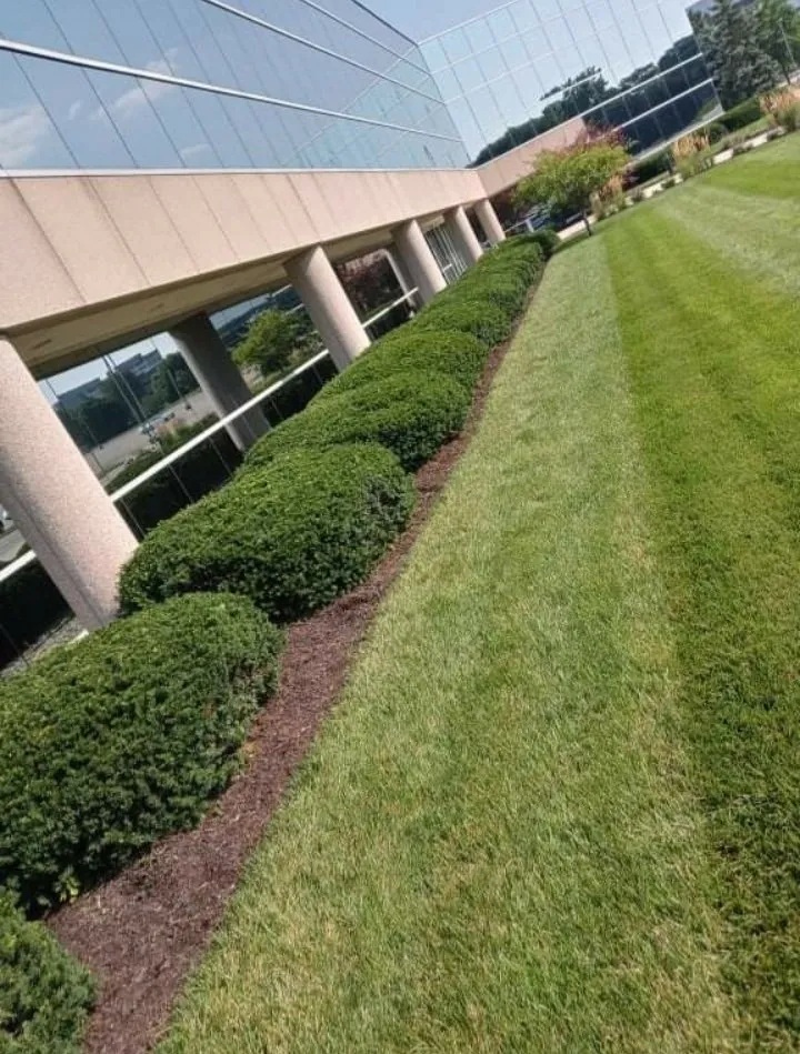 Trusted landscape design for year-round maintenance across Indianapolis, IN - Lawn's Pro