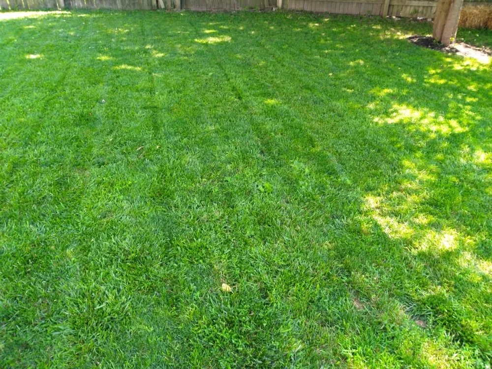 Reliable garden landscaping experts serving Indianapolis, IN - Lawn's Pro