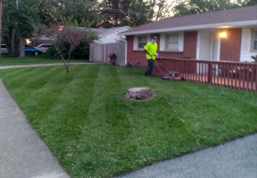 Expert yard cleanup service in Indianapolis, IN by Lawn's Pro