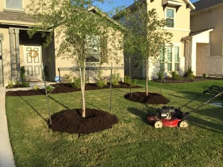 Reliable landscape design experts serving Bastrop, TX - Lawns R Us