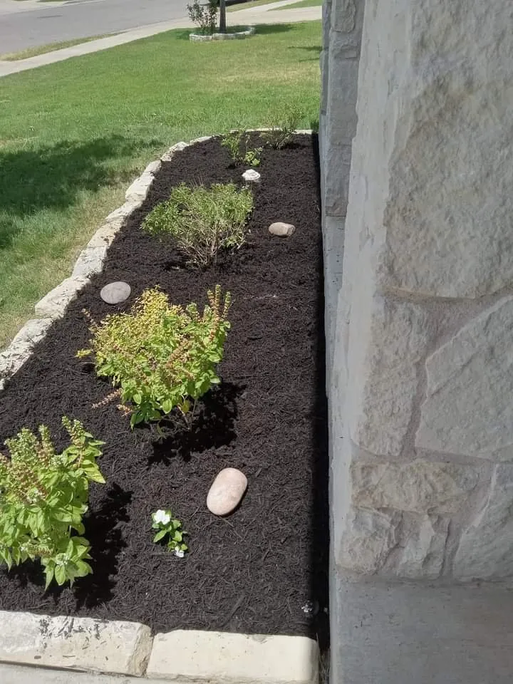 Local outdoor landscaping experts serving Bastrop, TX - Lawns R Us