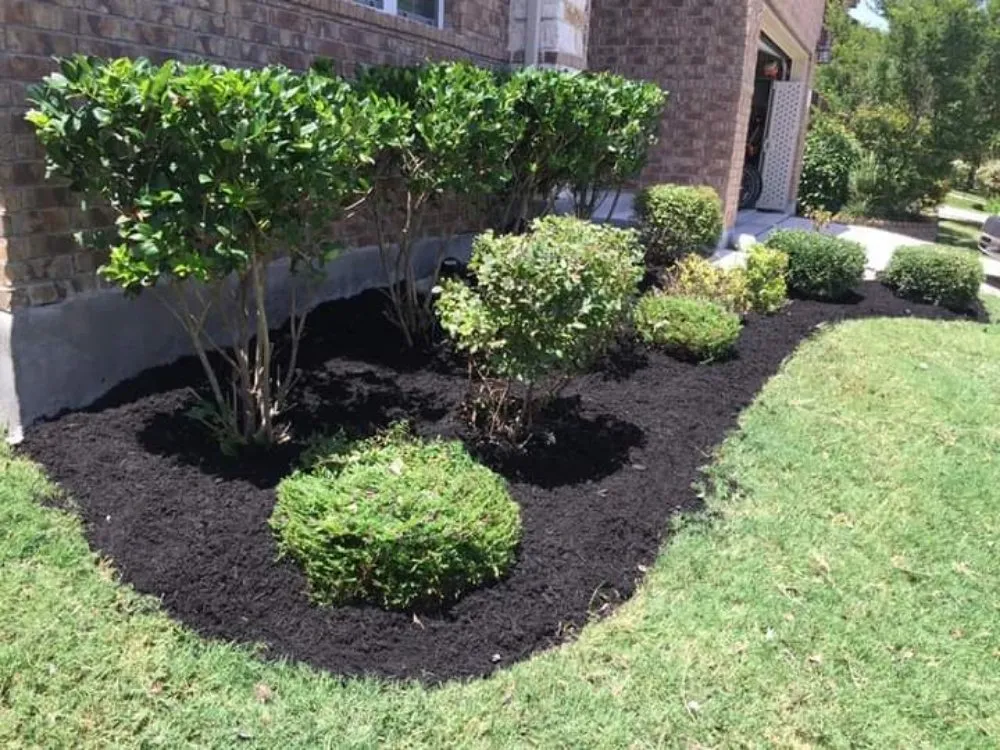 Reliable yard maintenance near you across Bastrop, TX - Lawns R Us