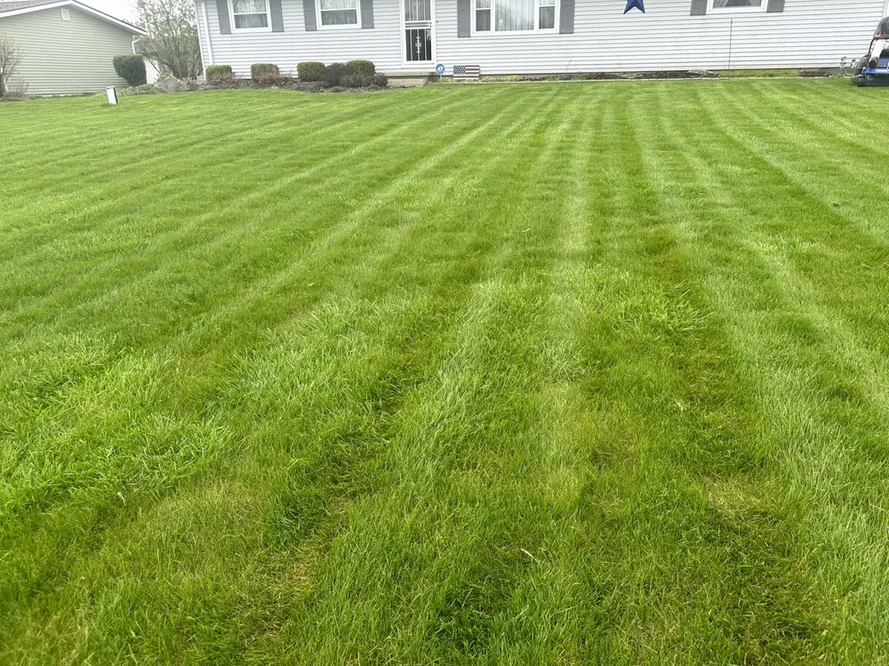 Top-rated lawn care service for beautiful yards across Columbus, OH - Lawns R Us