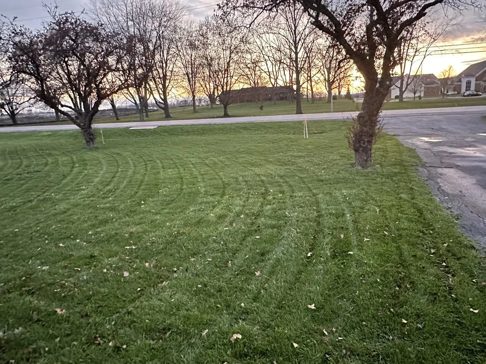 Professional lawn care service experts serving Columbus, OH - Lawns R Us