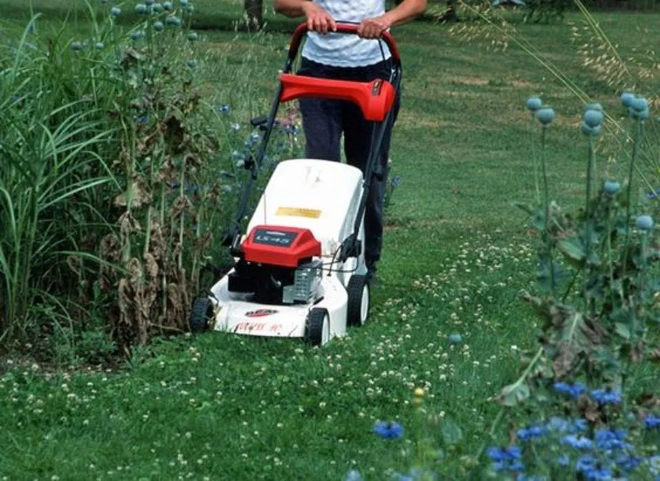 Local garden landscaping for homes in Ann Arbor, MI by Lawns To Landscape