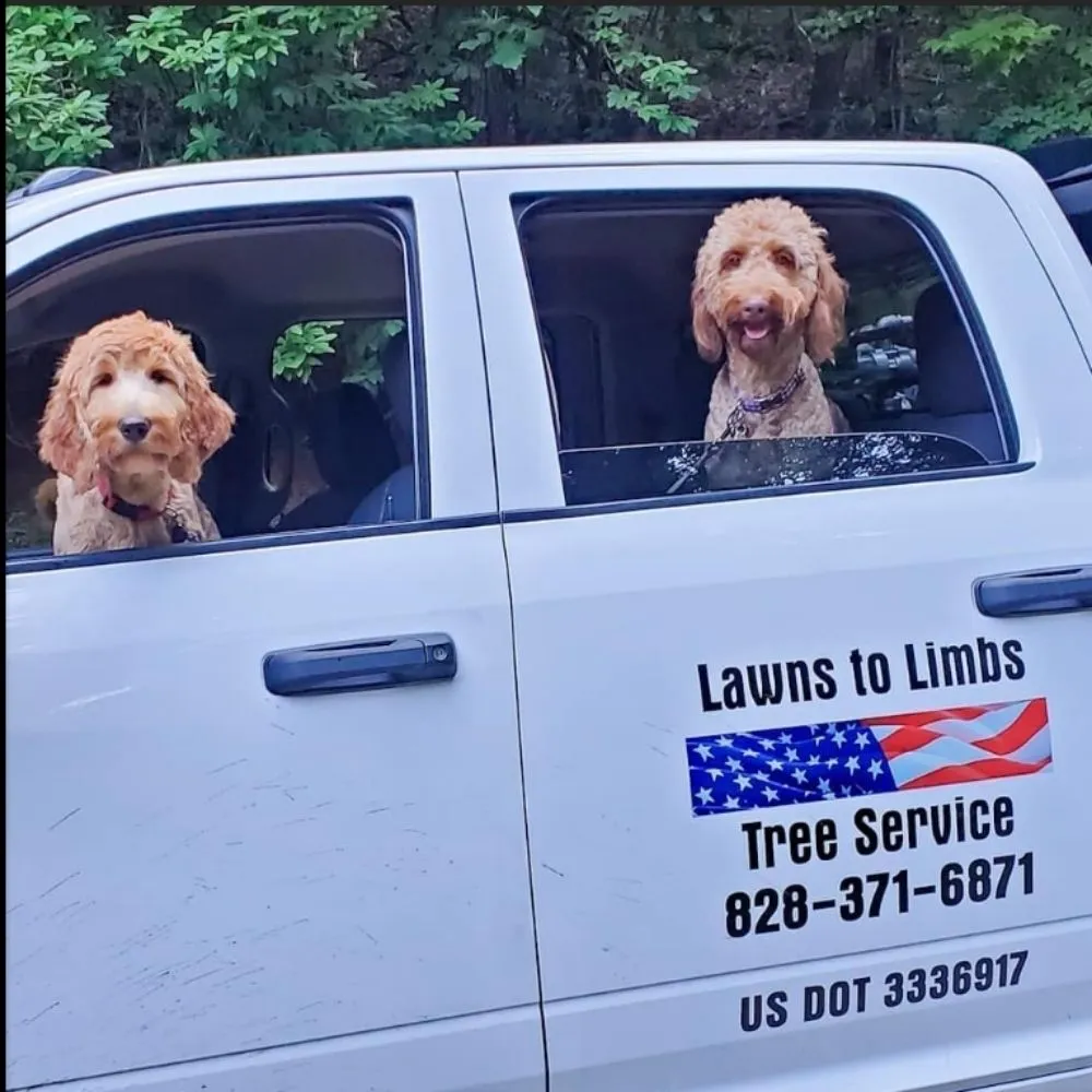 Top-rated outdoor landscaping for residential properties across Hayesville, NC - Lawns to Limbs Tree and Crane Services