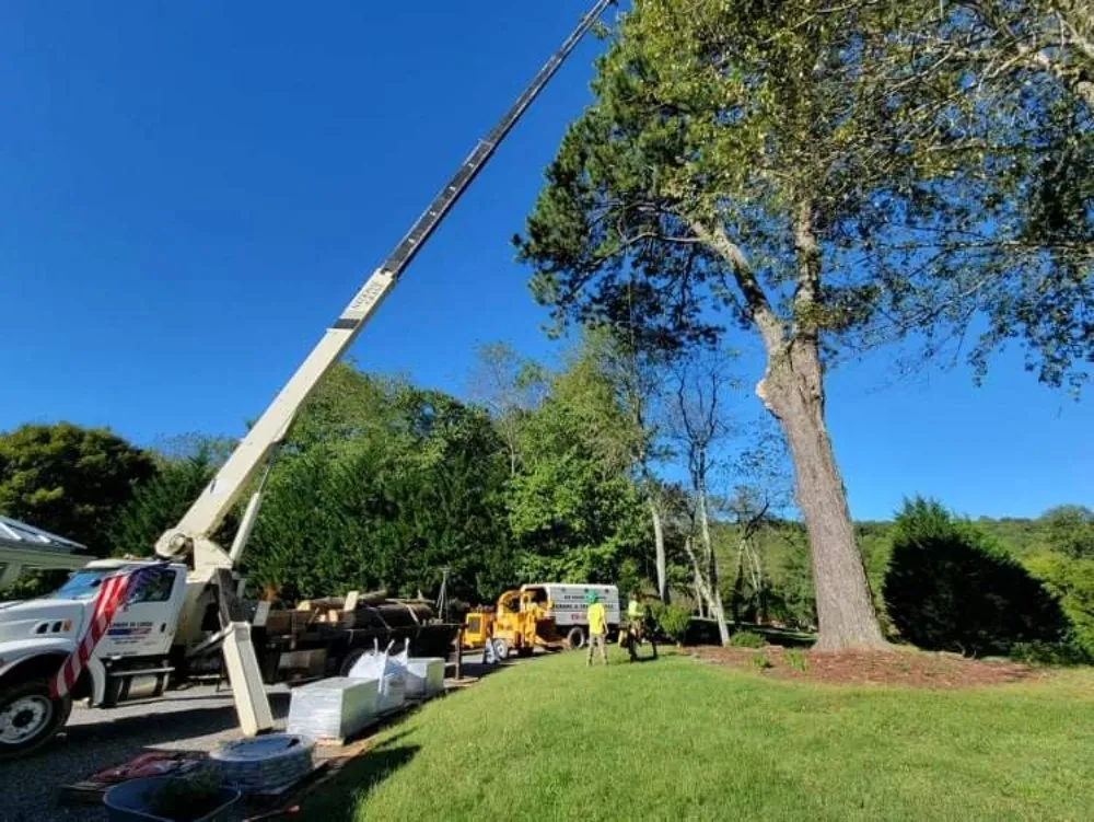 Professional landscape design experts serving Hayesville, NC - Lawns to Limbs Tree and Crane Services