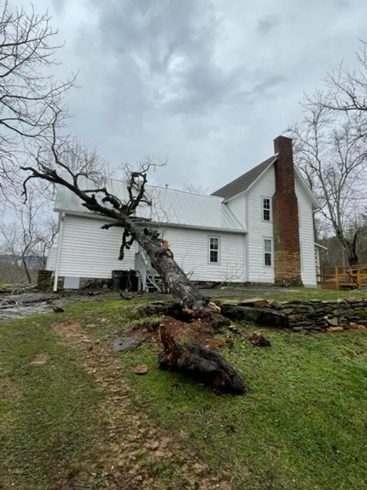 Expert landscape design for outdoor upgrades in Hayesville, NC by Lawns to Limbs Tree and Crane Services