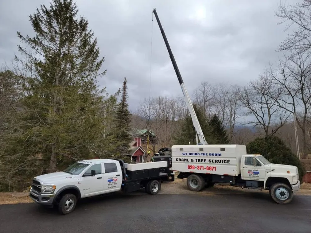 Reliable residential landscaping for beautiful yards across Hayesville, NC - Lawns to Limbs Tree and Crane Services