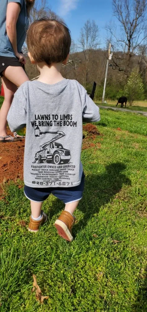Professional landscape installation in Hayesville, NC by Lawns to Limbs Tree and Crane Services