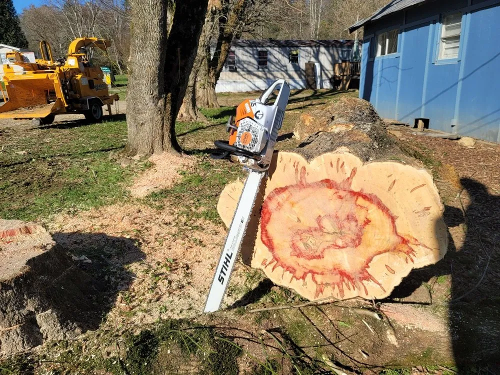 Top-rated outdoor landscaping for outdoor upgrades in Hayesville, NC by Lawns to Limbs Tree and Crane Services