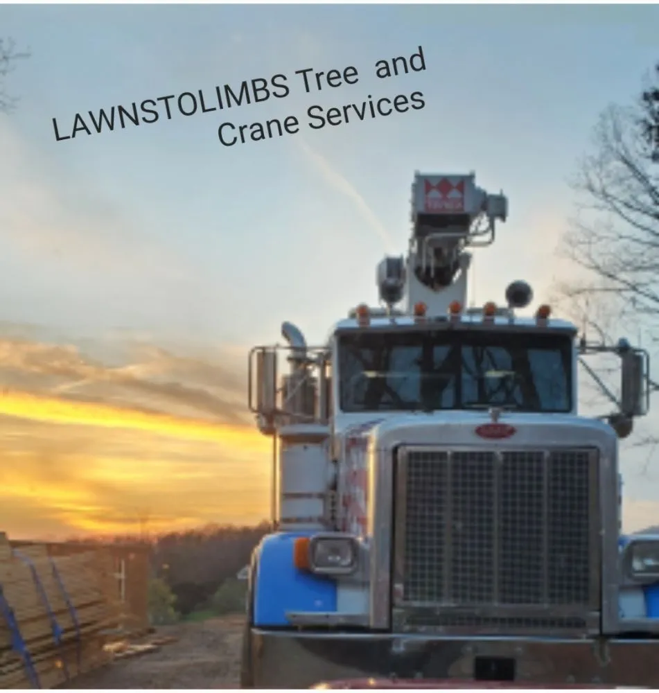 Trusted yard maintenance in Hayesville, NC - Lawns to Limbs Tree and Crane Services