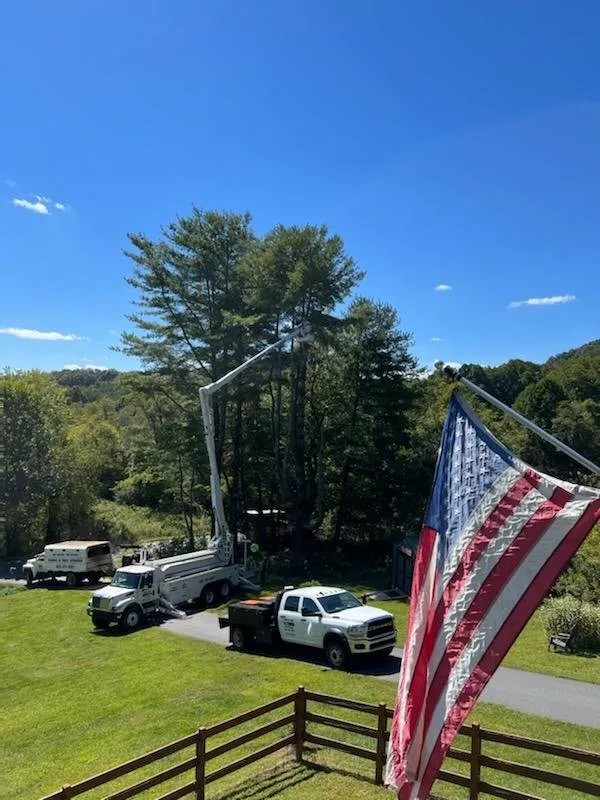 Local landscaping services experts serving Hayesville, NC - Lawns to Limbs Tree and Crane Services