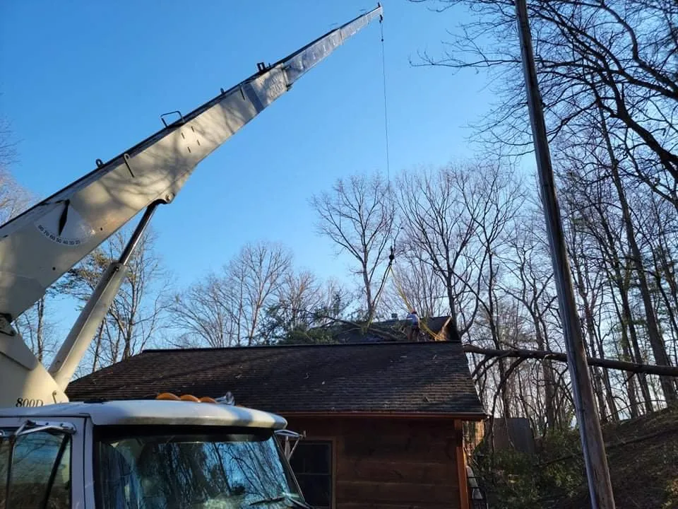 Affordable residential landscaping in Hayesville, NC by Lawns to Limbs Tree and Crane Services