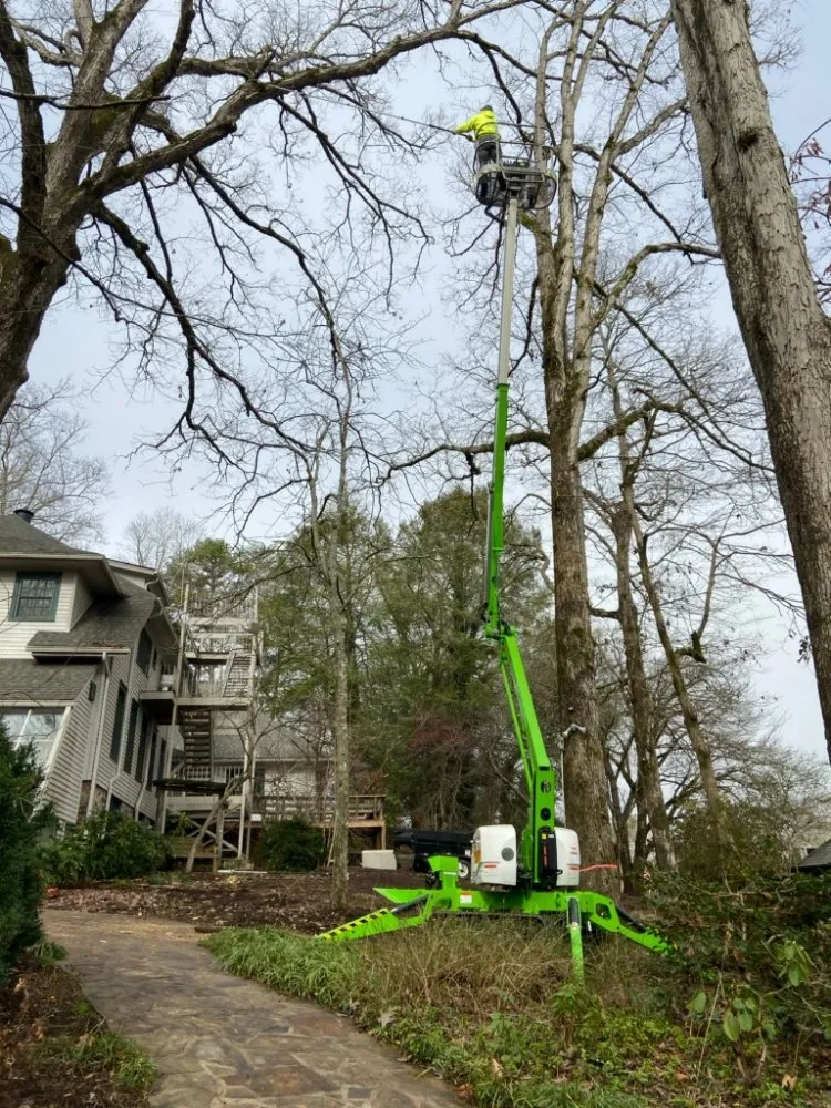 Reliable garden landscaping for outdoor upgrades in Hayesville, NC by Lawns to Limbs Tree and Crane Services