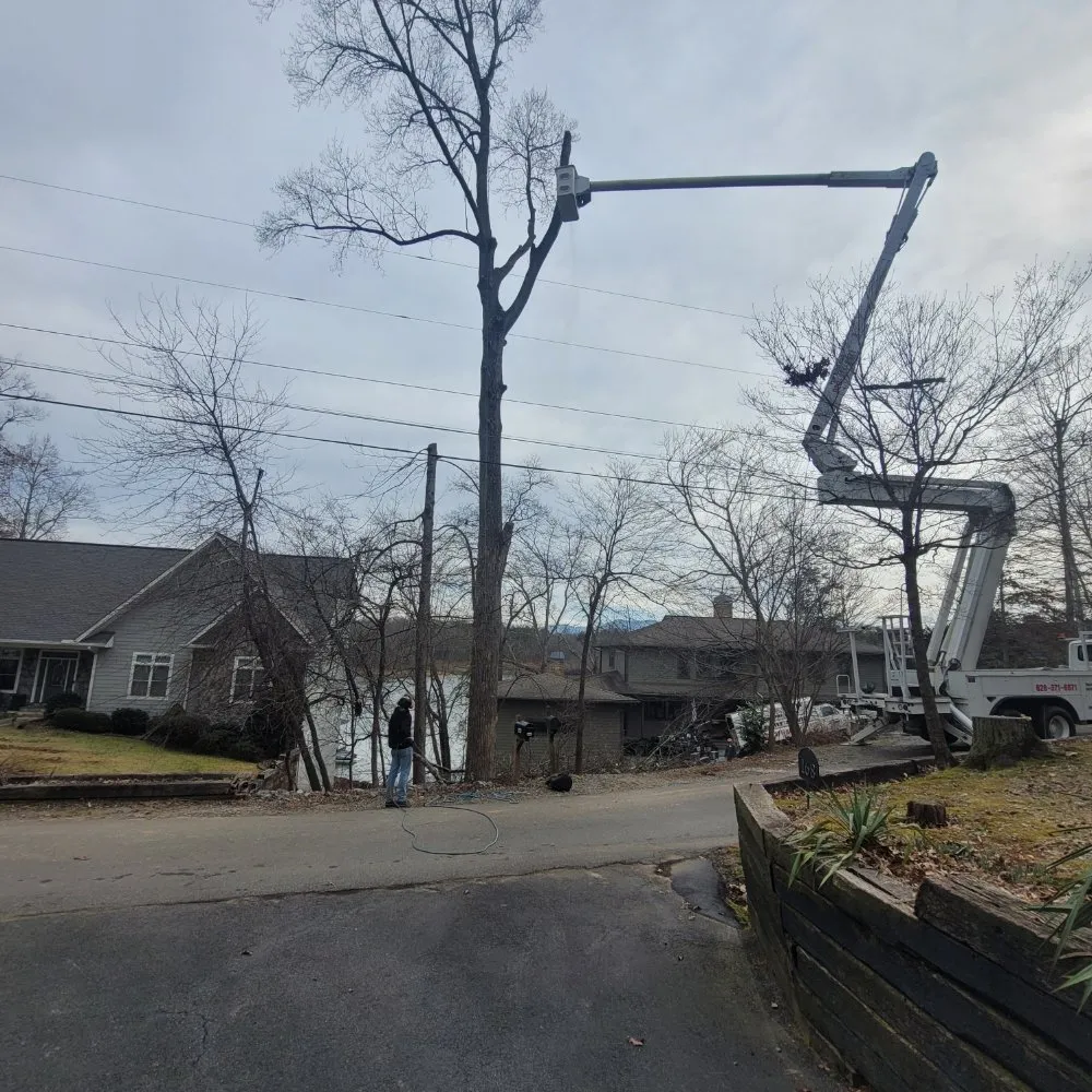 Affordable landscape installation experts serving Hayesville, NC - Lawns to Limbs Tree and Crane Services