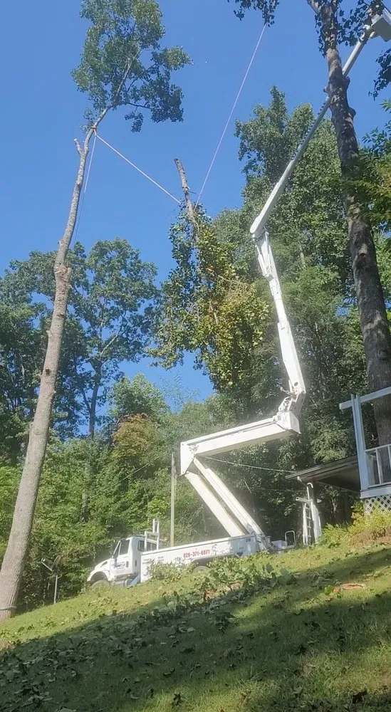Trusted residential landscaping for outdoor upgrades in Hayesville, NC by Lawns to Limbs Tree and Crane Services