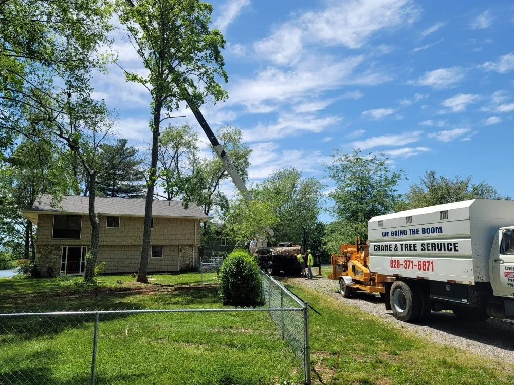 Professional yard maintenance in Hayesville, NC by Lawns to Limbs Tree and Crane Services