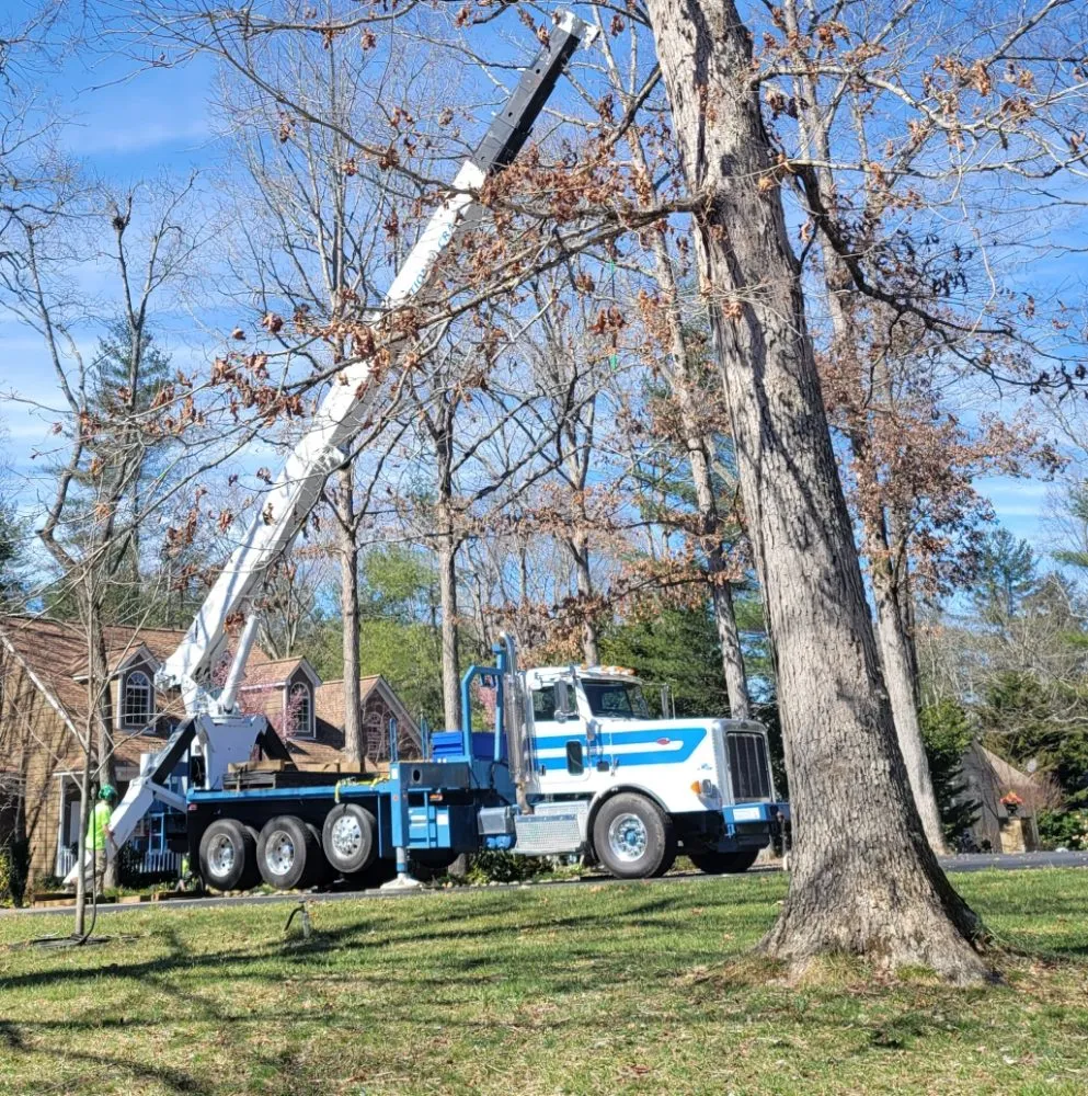 Top-rated landscape installation in Hayesville, NC - Lawns to Limbs Tree and Crane Services