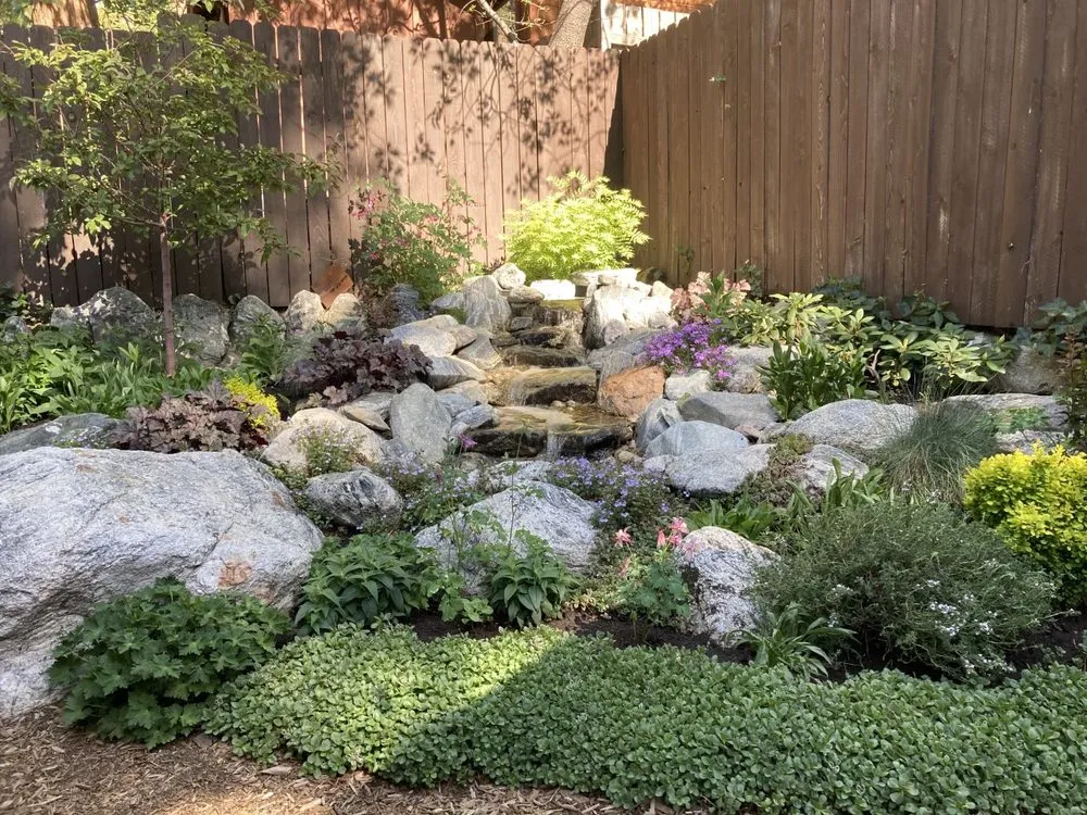 Reliable yard cleanup service for residential properties across Redlands, CA - Lawns to Ponds