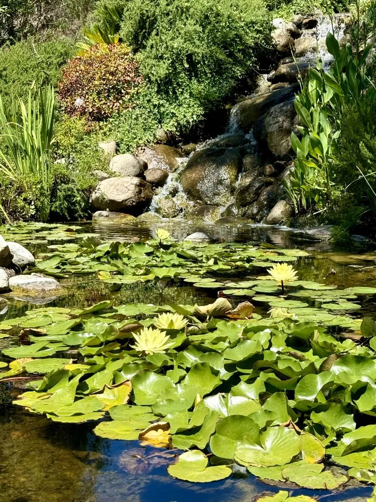 Local lawn mowing service in Redlands, CA by Lawns to Ponds