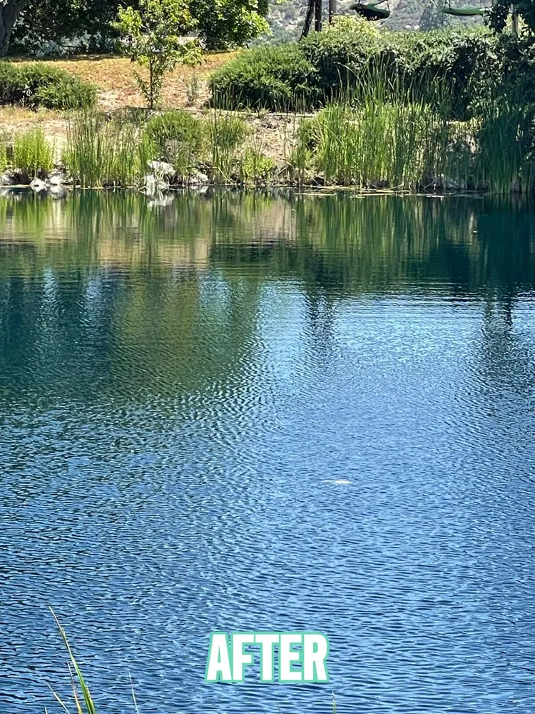 Expert yard cleanup service with custom design across Redlands, CA - Lawns to Ponds