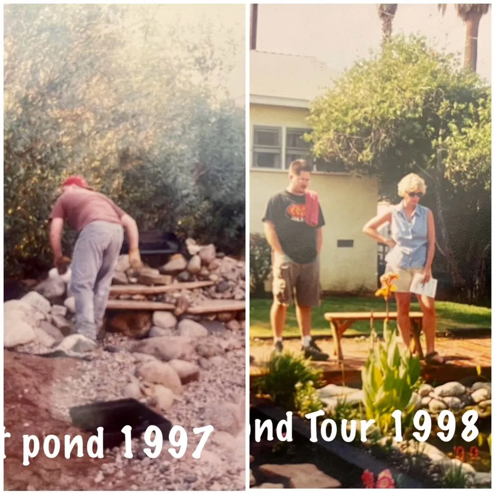 Expert landscaping services experts serving Redlands, CA - Lawns to Ponds