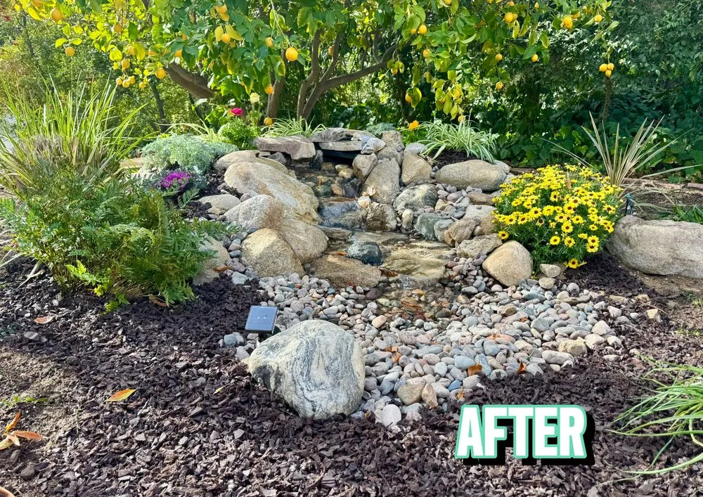 Top-rated lawn care service for year-round maintenance in Redlands, CA by Lawns to Ponds