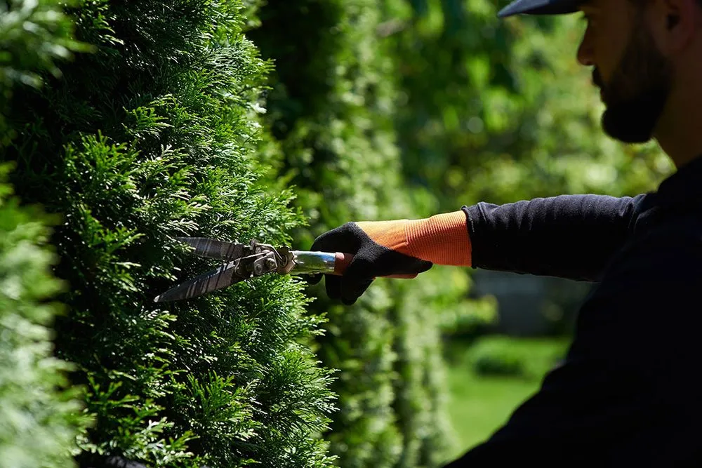 Reliable outdoor landscaping experts serving Dickinson, TX - Lawns To Remember