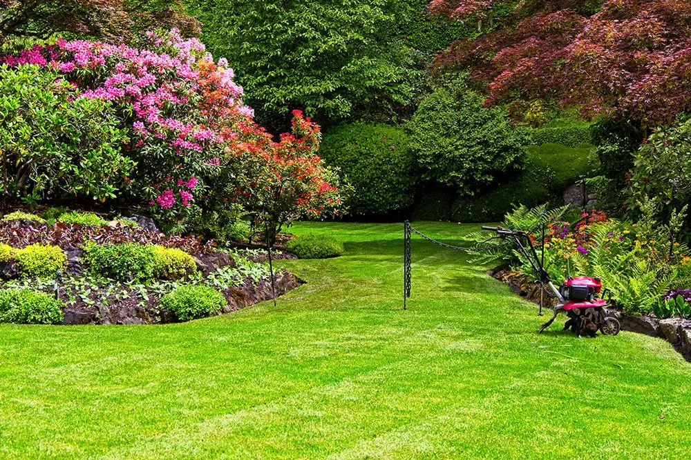 Reliable residential landscaping for beautiful yards in Dickinson, TX by Lawns To Remember