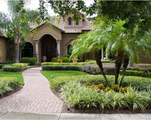 Local yard maintenance experts serving Palmetto, FL - Lawns Today