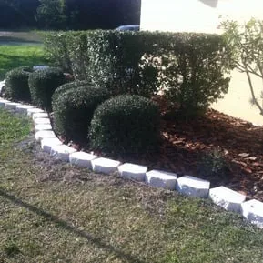 Affordable landscape installation for year-round maintenance across Palmetto, FL - Lawns Today