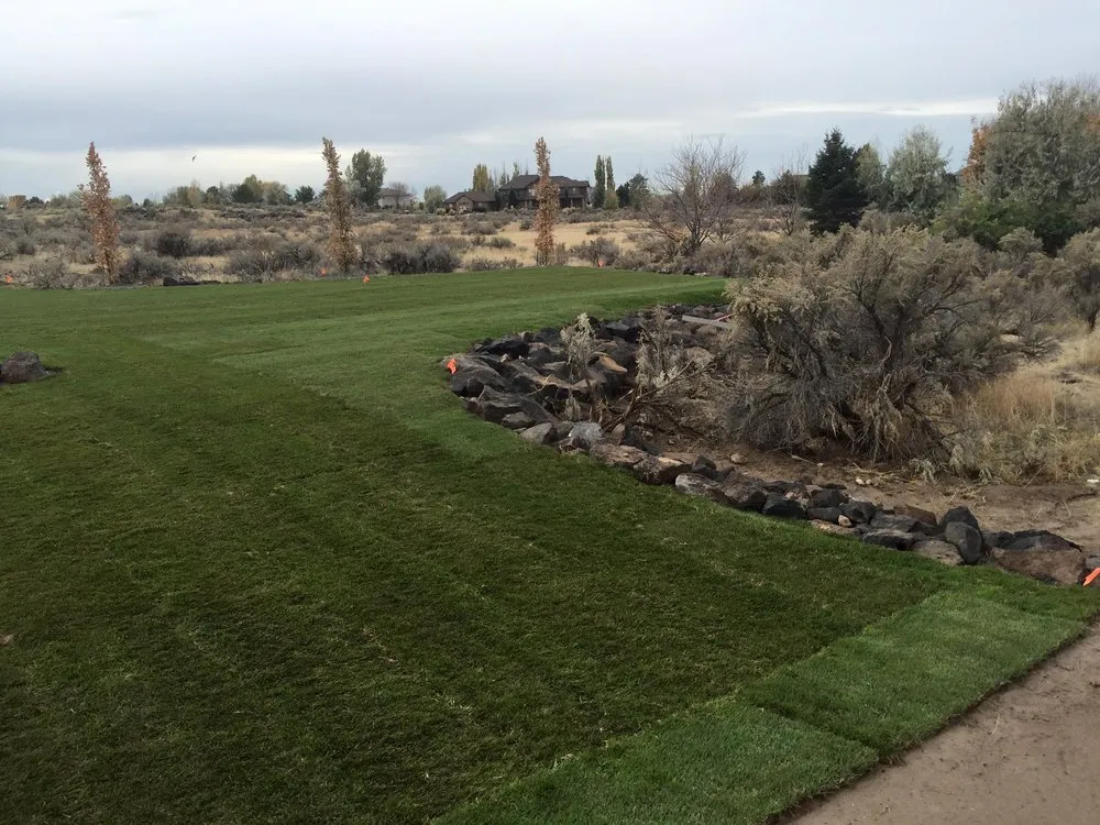 Professional yard cleanup service for residential properties in Twin Falls, ID by Lawns