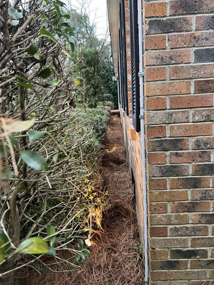 Top-rated outdoor landscaping in Bennettsville, SC by Lawns Unlimited