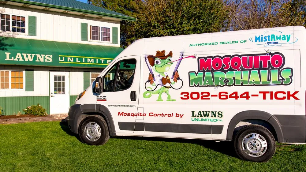 Trusted yard cleanup service in Milton, DE - Lawns Unlimited Ltd