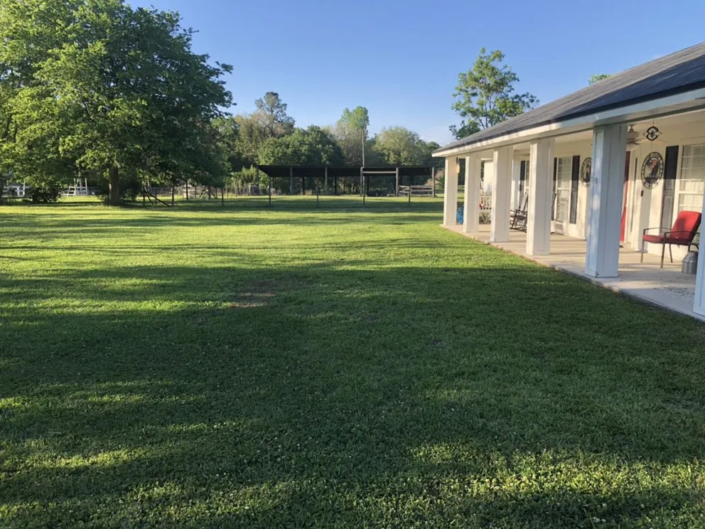 Trusted yard cleanup service experts serving Middleburg, FL - Lawns Unlimited