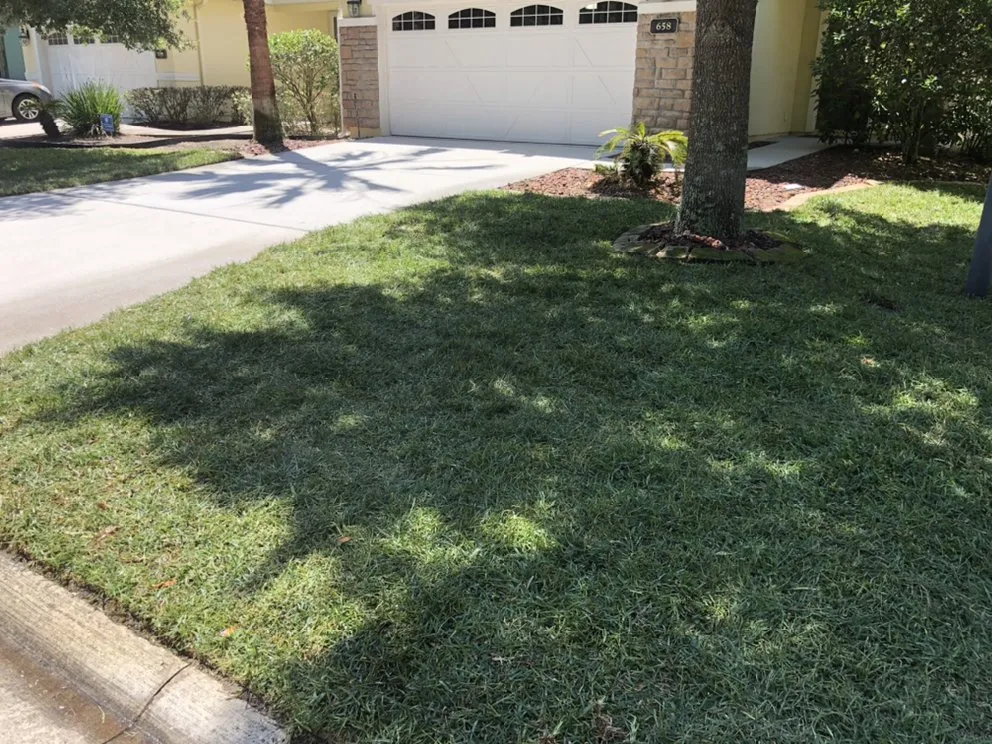 Reliable landscape installation for outdoor upgrades in Middleburg, FL by Lawns Unlimited