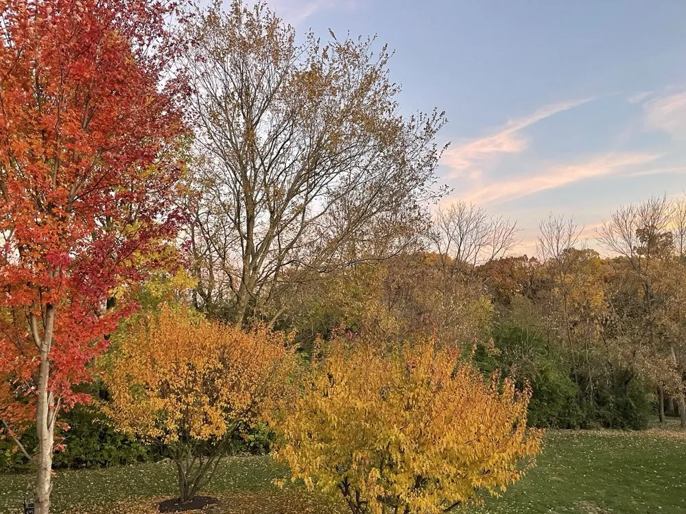 Top-rated landscape installation in Bettendorf, IA by Lawns Unlimited of Iowa Inc