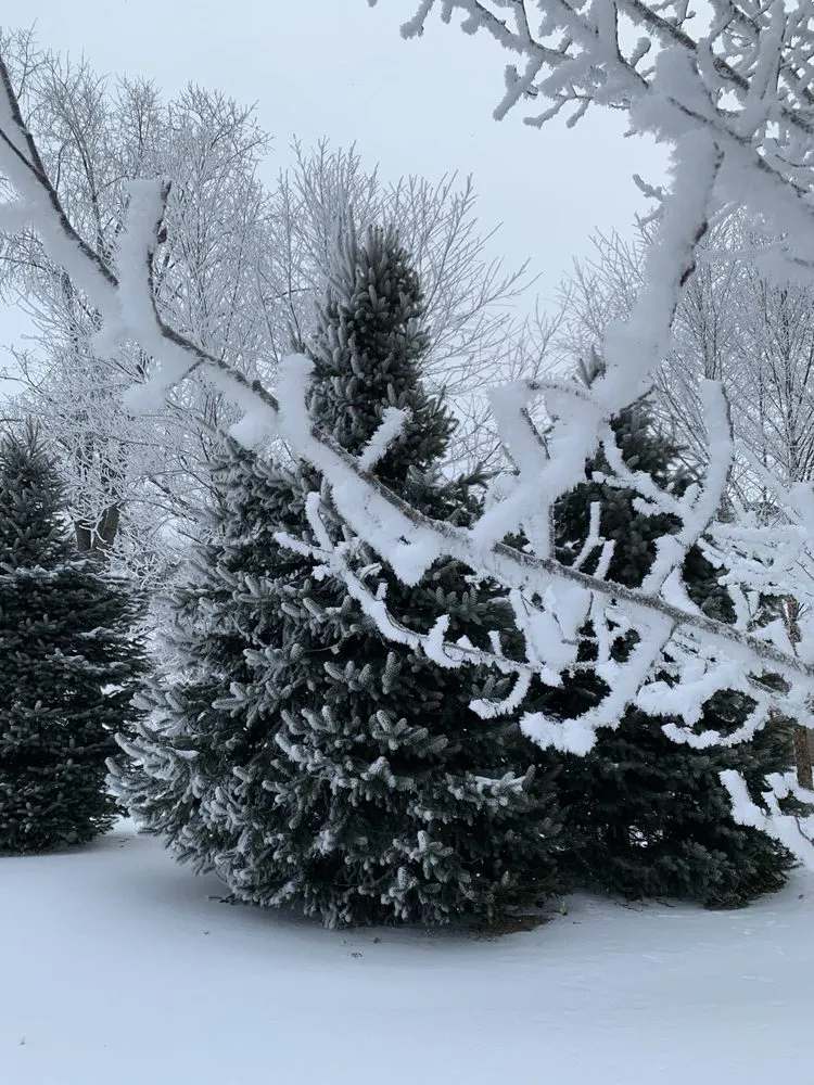 Local landscape design near you across Bettendorf, IA - Lawns Unlimited of Iowa Inc