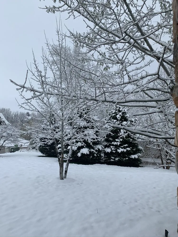 Custom landscaping services in Bettendorf, IA - Lawns Unlimited of Iowa Inc