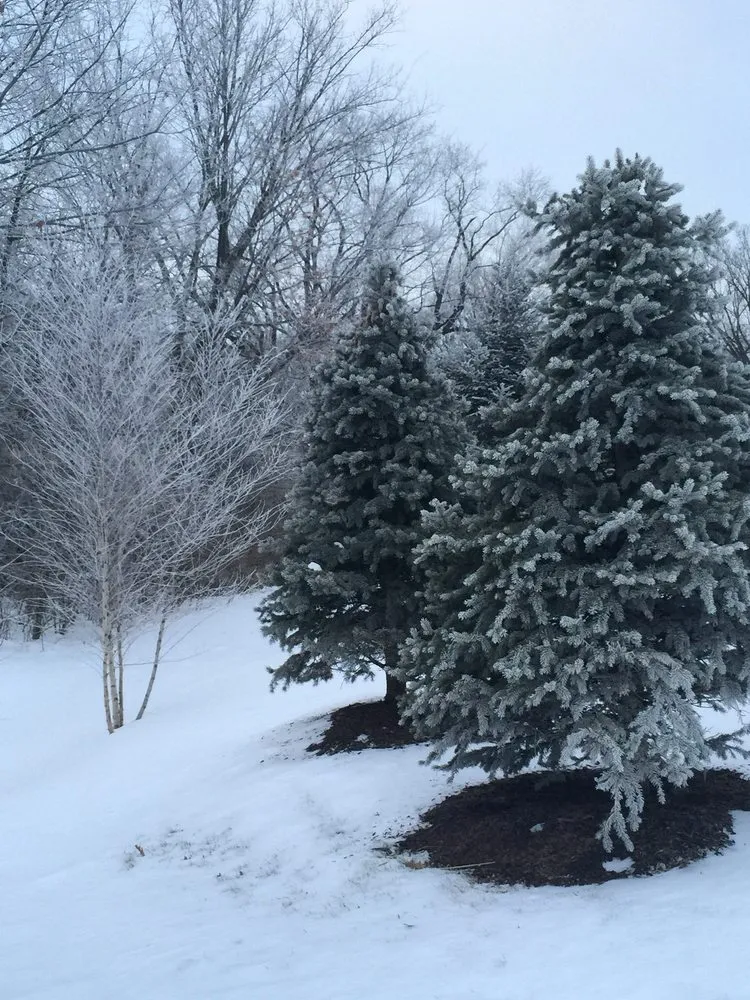 Custom lawn mowing service experts serving Bettendorf, IA - Lawns Unlimited of Iowa Inc