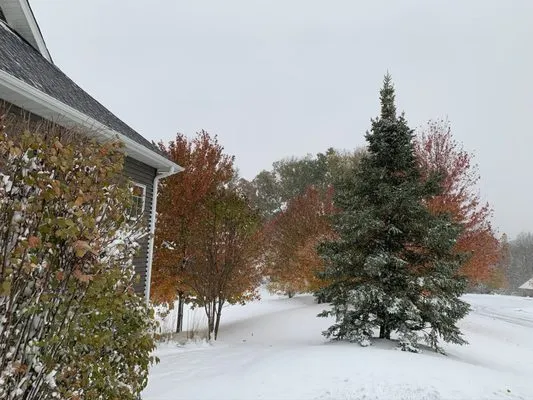 Lawns Unlimited of Iowa Inc