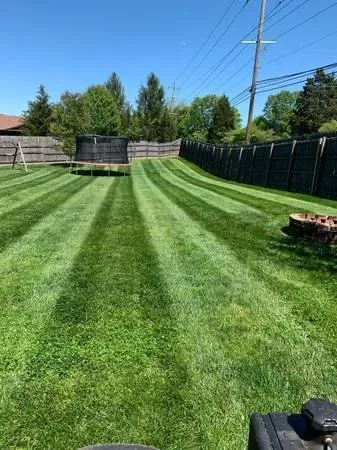 Professional lawn care service experts serving St. Louis, MO - Lawns Unlimited