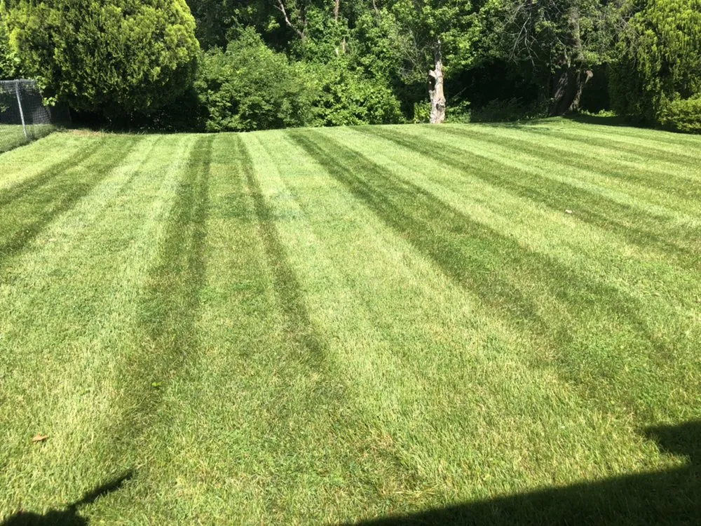 Professional landscape design for outdoor upgrades in St. Louis, MO by Lawns Unlimited