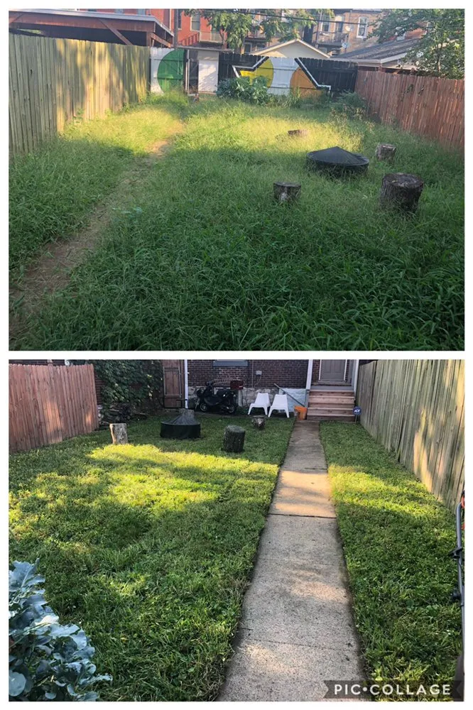 Expert yard maintenance in St. Louis, MO by Lawns Unlimited