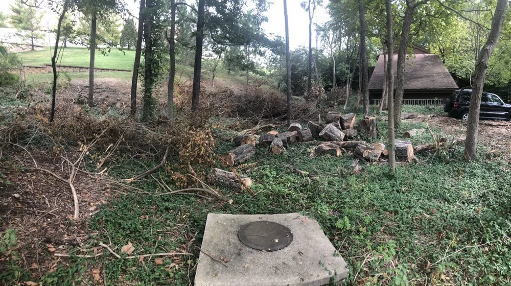 Expert landscape design in St. Louis, MO - Lawns Unlimited