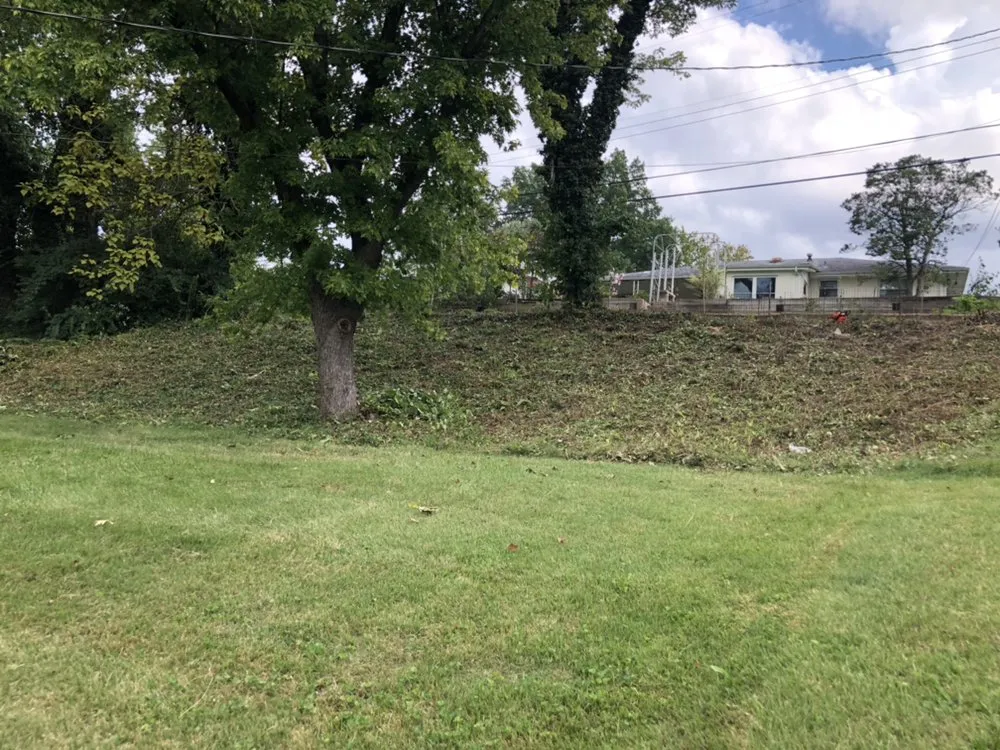 Top-rated yard cleanup service experts serving St. Louis, MO - Lawns Unlimited